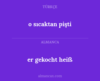 o sıcaktan pişti - er gekocht heiß