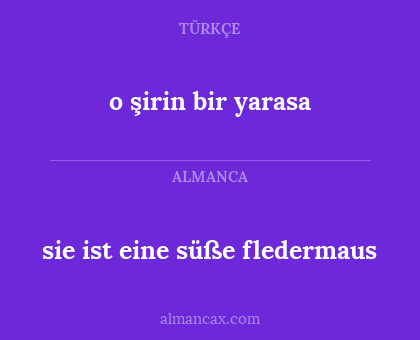 o şirin bir yarasa - sie ist eine süße fledermaus