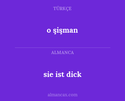 o şişman - sie ist dick