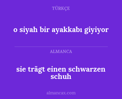 sie trägt einen schwarzen schuh - o siyah bir ayakkabı giyiyor