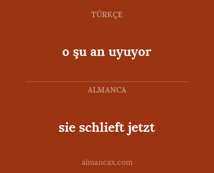 o şu an uyuyor - sie schlieft jetzt