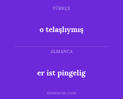 er ist pingelig - o telaşlıymış