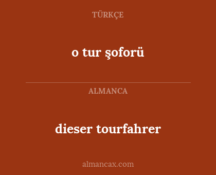 o tur şoforü - dieser tourfahrer