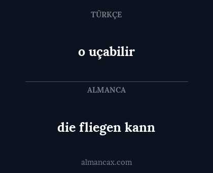 o uçabilir - die fliegen kann