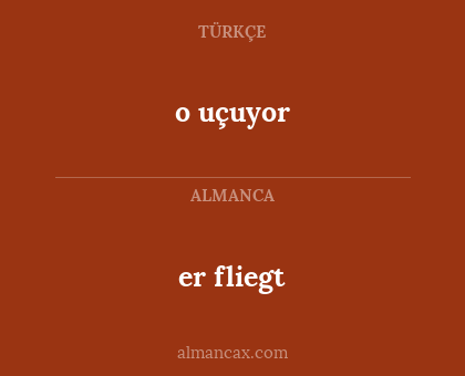 o uçuyor - er fliegt
