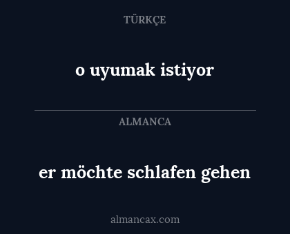 er möchte schlafen gehen - o uyumak istiyor