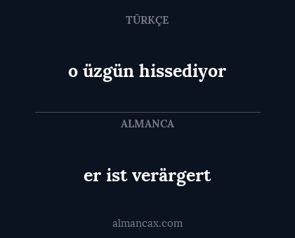 er ist verärgert - o üzgün hissediyor