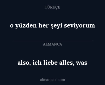 o yüzden her şeyi seviyorum - also, ich liebe alles, was