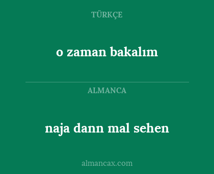 naja dann mal sehen - o zaman bakalım