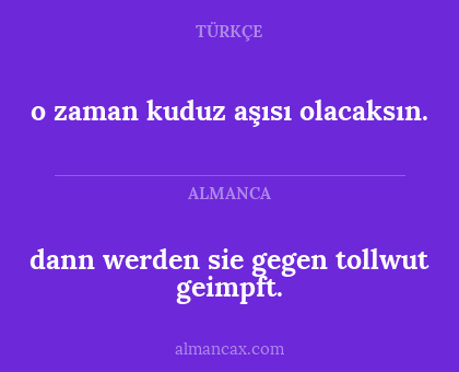 dann werden sie gegen tollwut geimpft. - o zaman kuduz aşısı olacaksın.