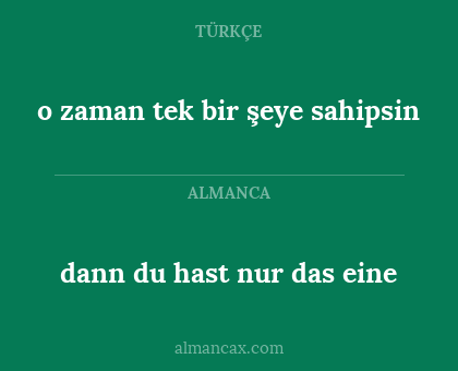 dann du hast nur das eine - o zaman tek bir şeye sahipsin