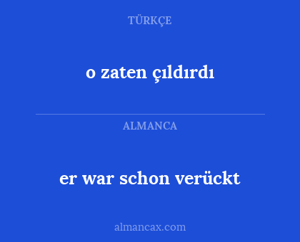 er war schon verückt - o zaten çıldırdı