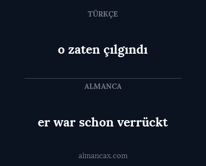 er war schon verrückt - o zaten çılgındı
