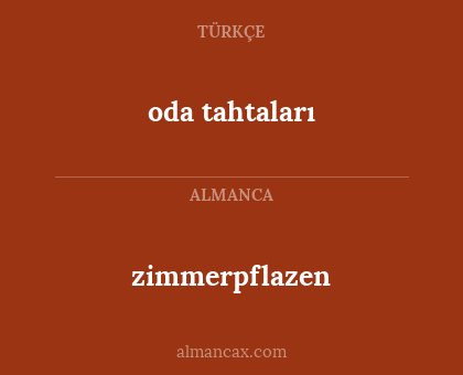 oda tahtaları - zimmerpflazen