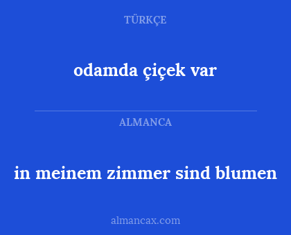 odamda çiçek var - in meinem zimmer sind blumen