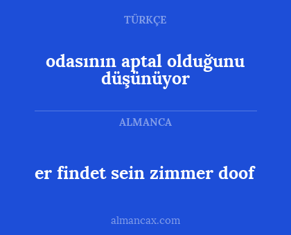 er findet sein zimmer doof - odasının aptal olduğunu düşünüyor