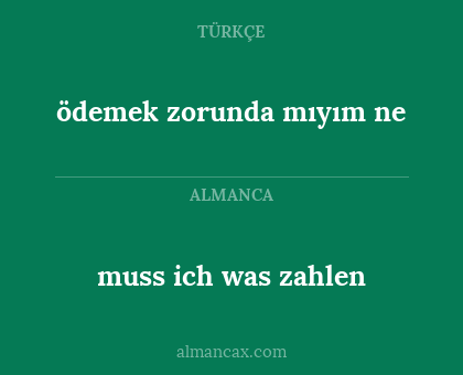 muss ich was zahlen - ödemek zorunda mıyım ne