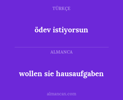 ödev istiyorsun - wollen sie hausaufgaben