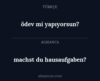 ödev mi yapıyorsun? - machst du hausaufgaben?