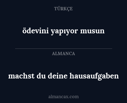 machst du deine hausaufgaben - ödevini yapıyor musun