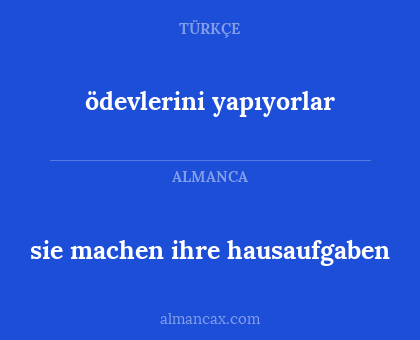 ödevlerini yapıyorlar - sie machen ihre hausaufgaben