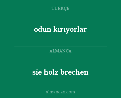 odun kırıyorlar - sie holz brechen