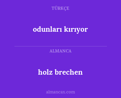 odunları kırıyor - holz brechen