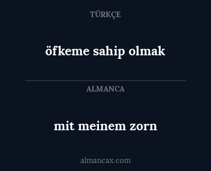 öfkeme sahip olmak - mit meinem zorn