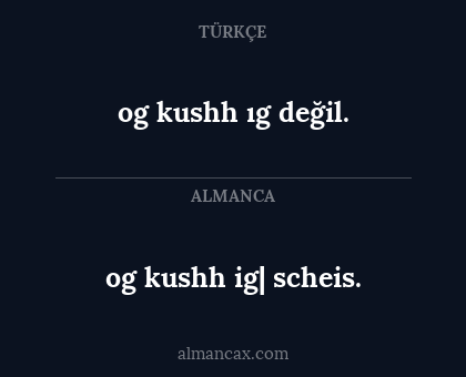 og kushh ig| scheis. - og kushh ıg değil.