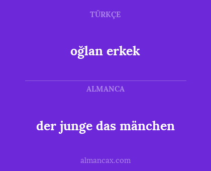 der junge das mänchen - oğlan erkek
