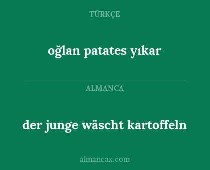 der junge wäscht kartoffeln - oğlan patates yıkar