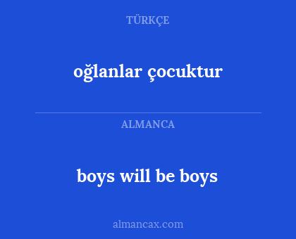 boys will be boys - oğlanlar çocuktur