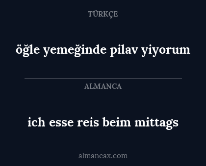 ich esse reis beim mittags - öğle yemeğinde pilav yiyorum