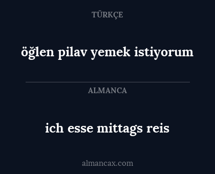 ich esse mittags reis - öğlen pilav yemek istiyorum