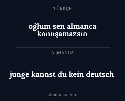 junge kannst du kein deutsch - oğlum sen almanca konuşamazsın