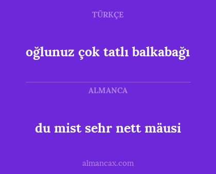 du mist sehr nett mäusi - oğlunuz çok tatlı balkabağı