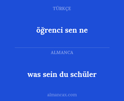 was sein du schüler - öğrenci sen ne