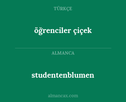 öğrenciler çiçek - studentenblumen