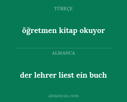 der lehrer liest ein buch - öğretmen kitap okuyor