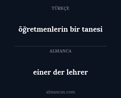 einer der lehrer - öğretmenlerin bir tanesi