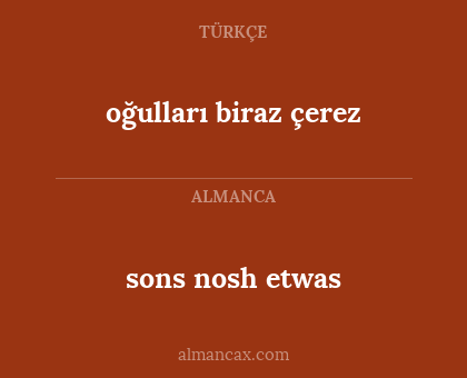 sons nosh etwas - oğulları biraz çerez