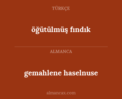 gemahlene haselnuse - öğütülmüş fındık