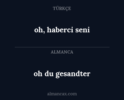 oh du gesandter - oh, haberci seni