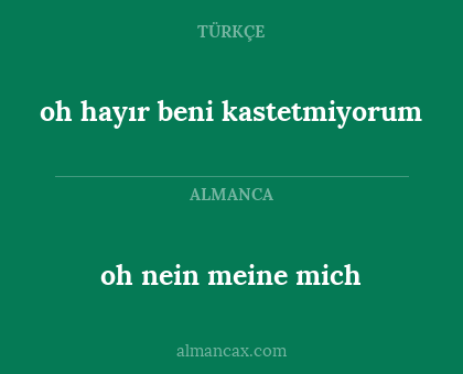 oh nein meine mich - oh hayır beni kastetmiyorum