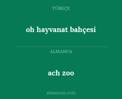 ach zoo - oh hayvanat bahçesi