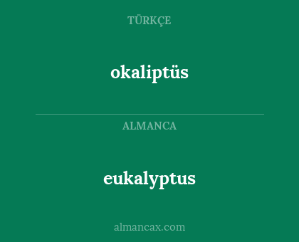 eukalyptus - okaliptüs