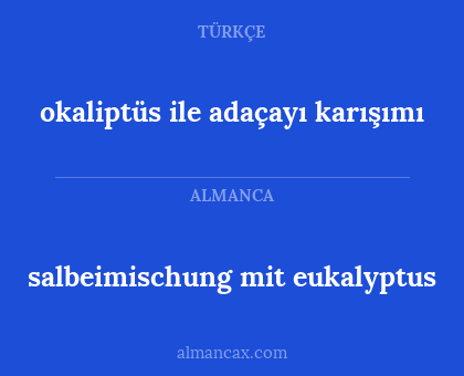salbeimischung mit eukalyptus - okaliptüs ile adaçayı karışımı