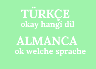 okay+hangi+dil-ok+welche+sprache.png