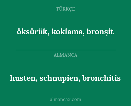 husten, schnupien, bronchitis - öksürük, koklama, bronşit