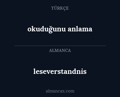 okuduğunu anlama - leseverstandnis